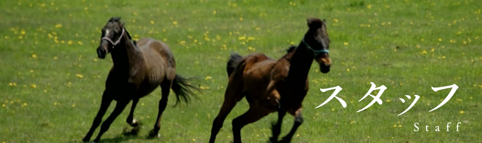 �����å�