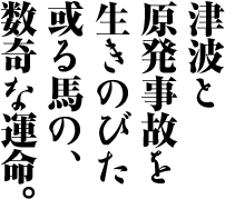 津波と原発字を生きのびた或る馬の、数奇な運命